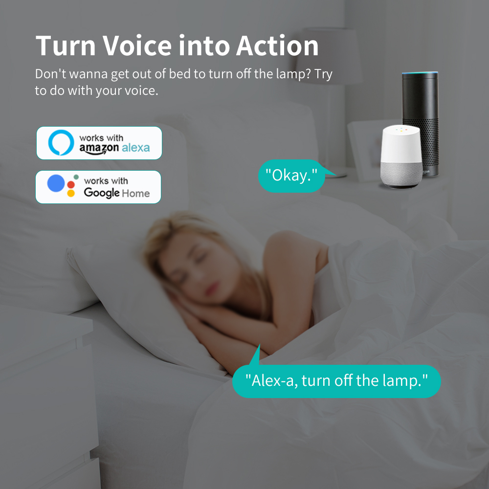 WiFi Mini Micro USB Adaptor 5V - Smart Plug Mini Alexa Google review and price